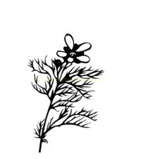 Blumen